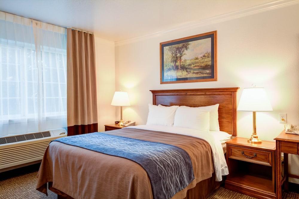 Best Western Paradise Hotel Dış mekan fotoğraf