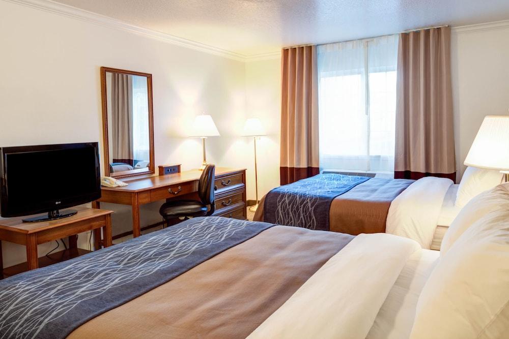Best Western Paradise Hotel Dış mekan fotoğraf
